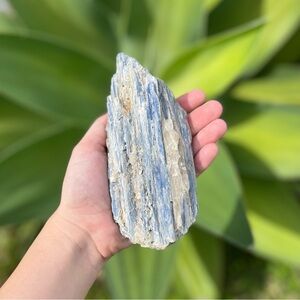 Kyanite Raw Crystal • 2
